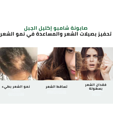 صابونة شامبو إكليل الجبل تحفيز بصيلات الشعر والمساعدة في نمو الشعر صابونة شامبو إكليل الجبل